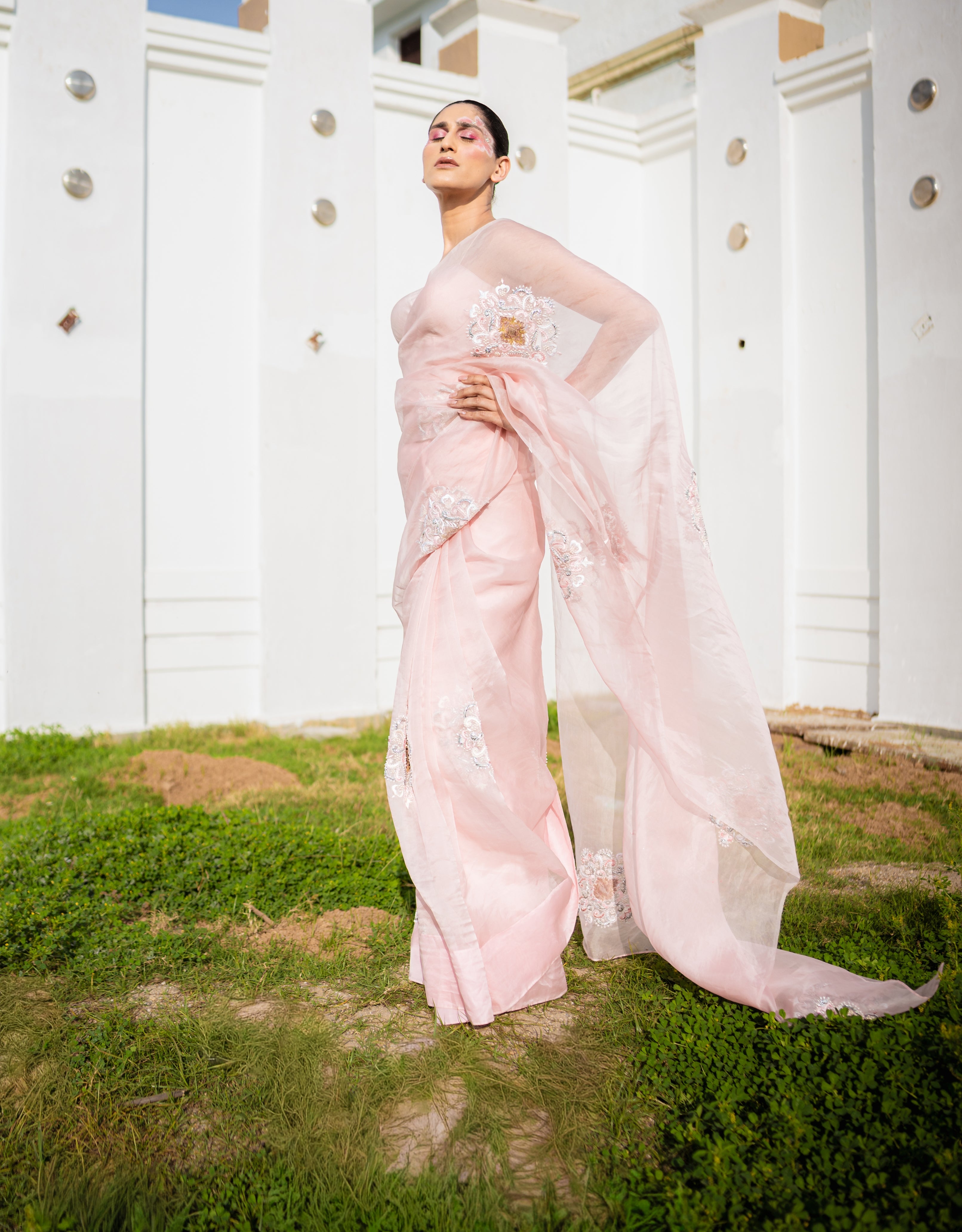 Restored Sozni Organza Saree