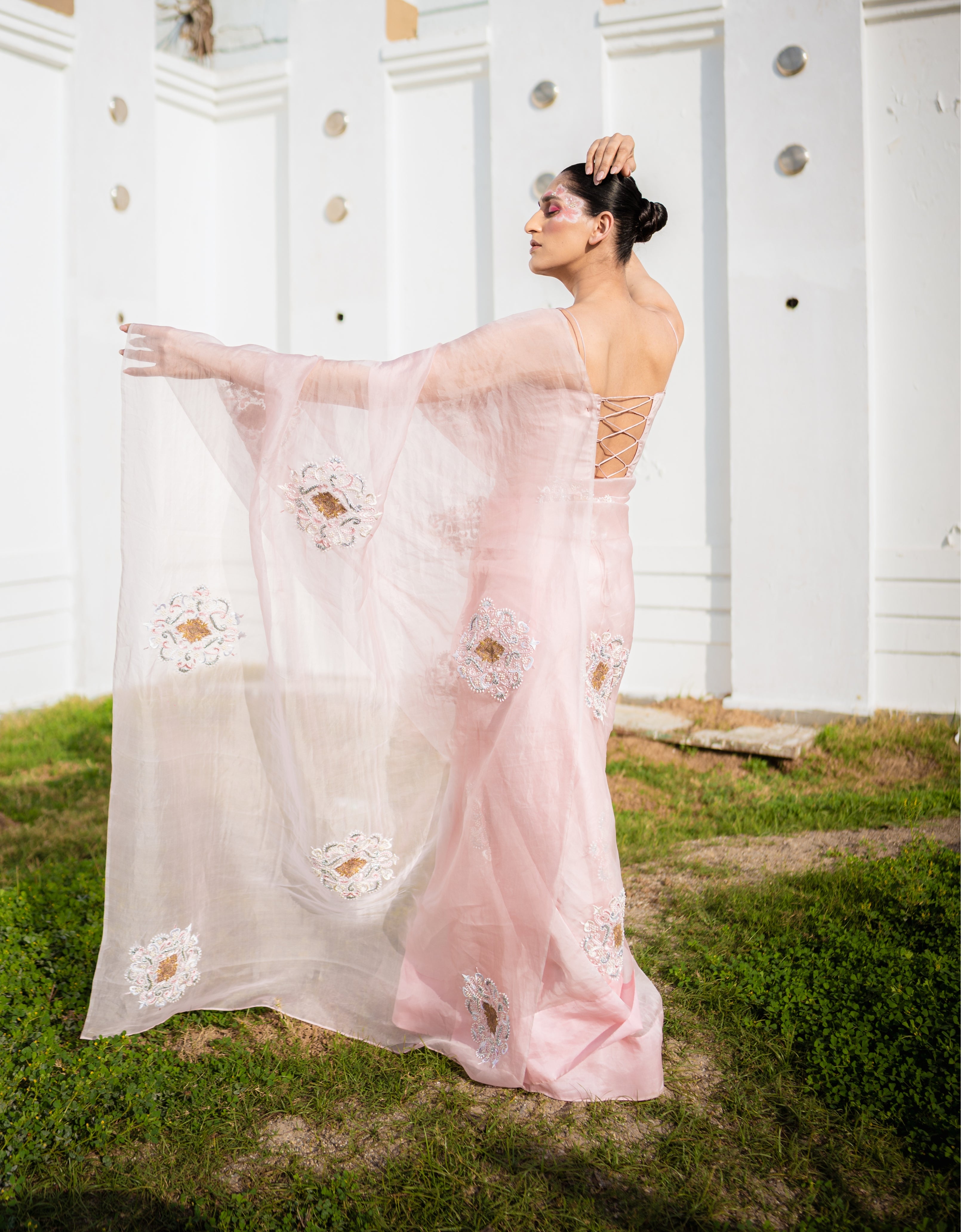 Restored Sozni Organza Saree