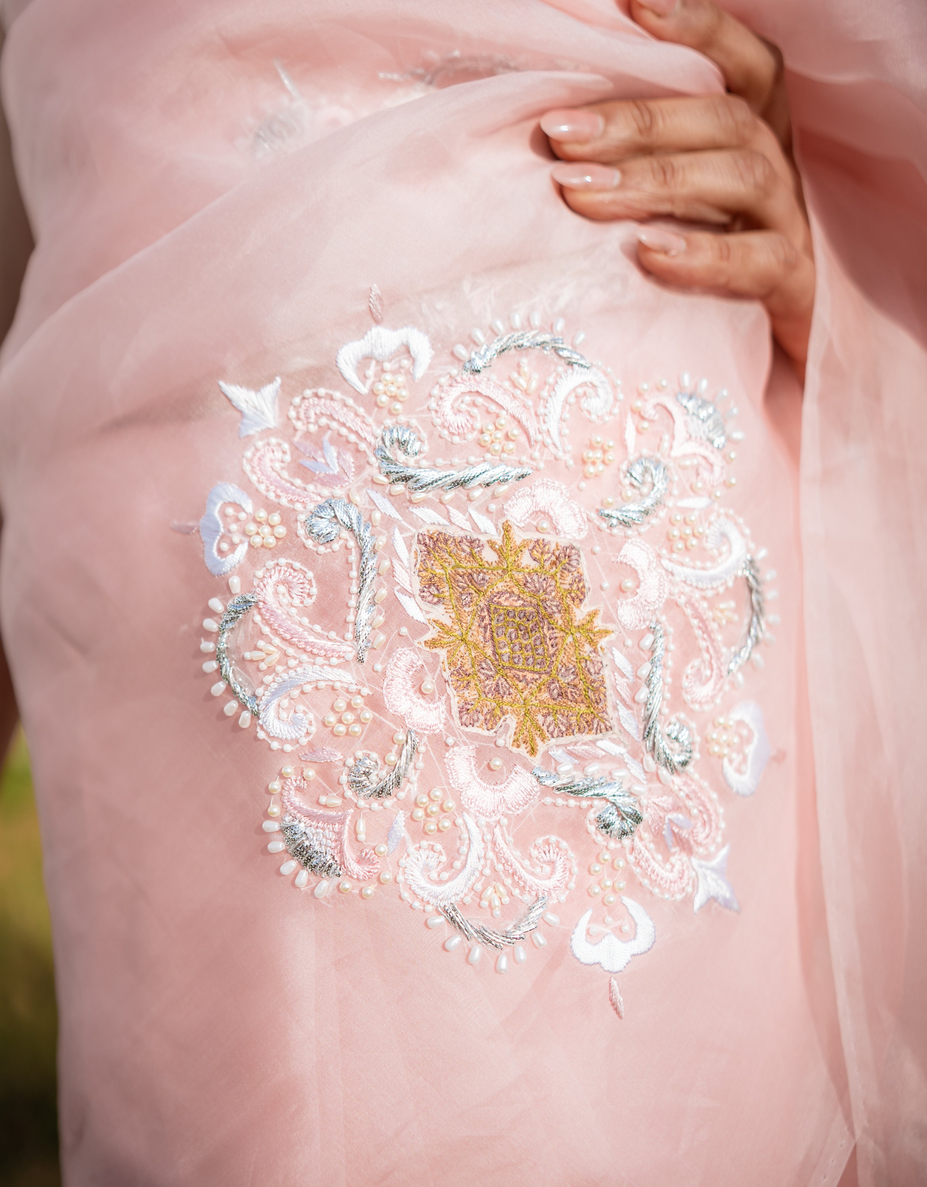 Restored Sozni Organza Saree