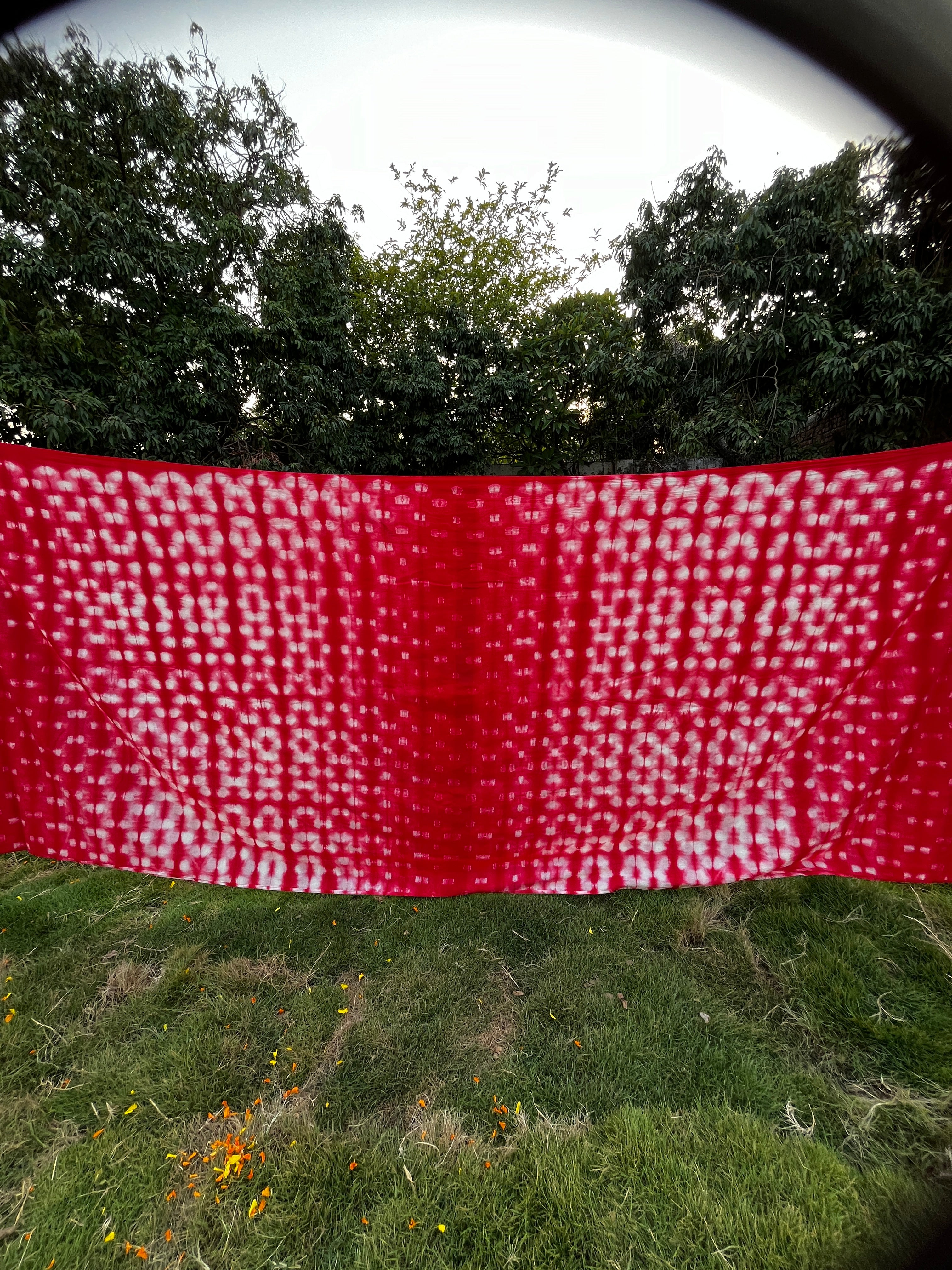 Pink Pure Cotton Tie & Dye Saree- Strawberry Alpenliebe (Poppins)