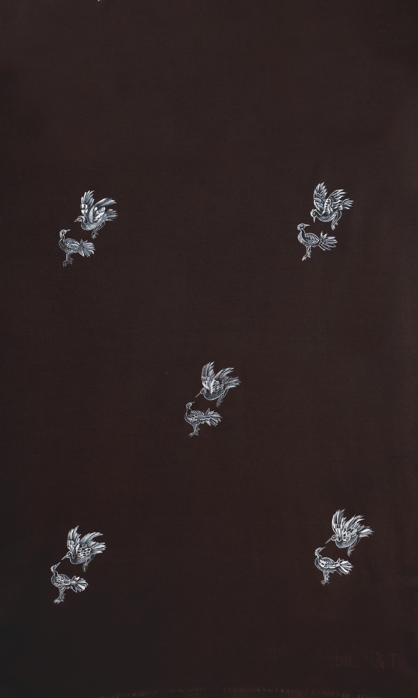 Brown Pure Pashmina Hand-Painted Scarf - Songs of Freedom (We Got You Flowers)
