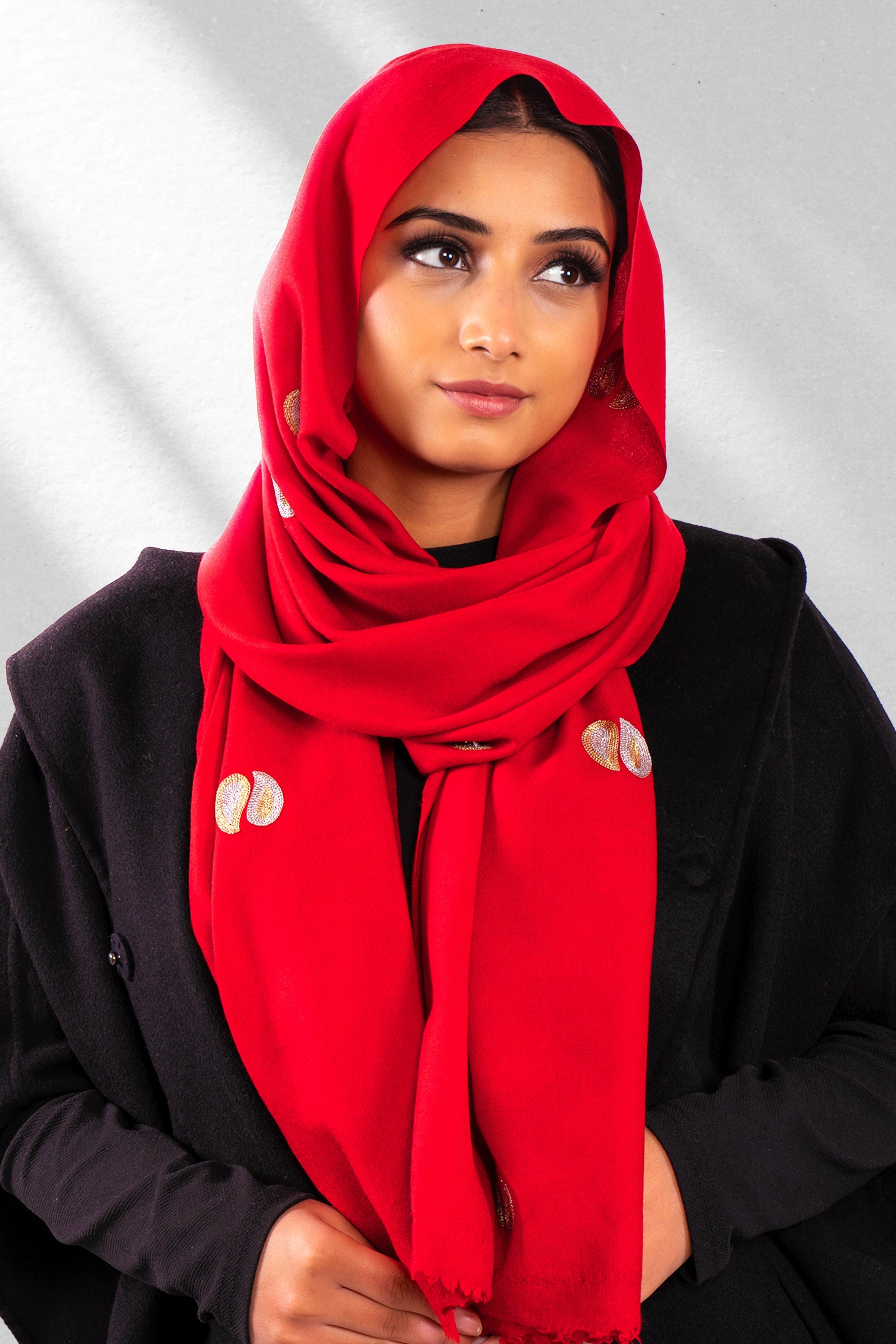 Red Pure Pashmina Embroidered Scarf - Ambi & Kaeri (Love Jammu & Kashmir)