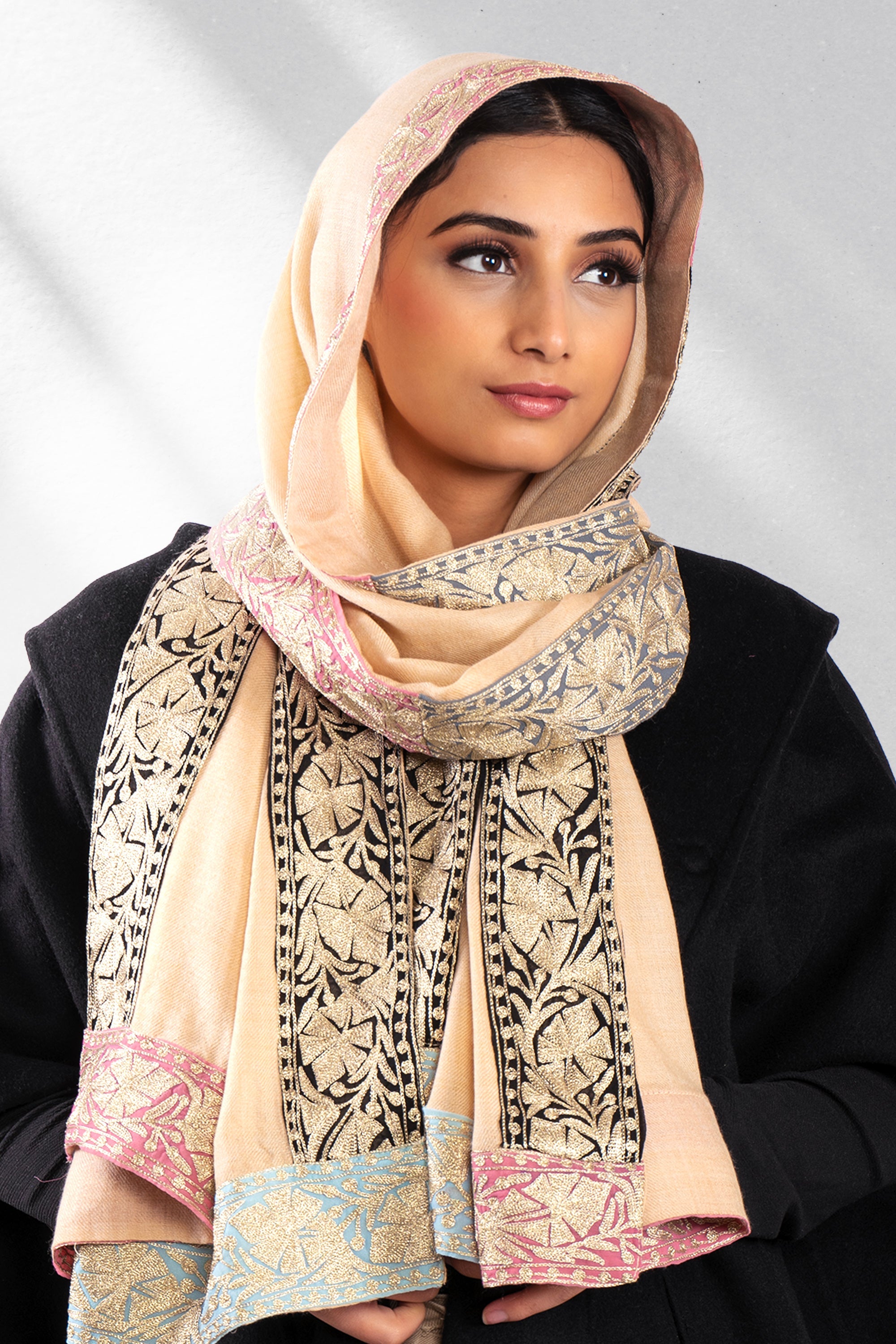 Coloring Boundaries in Pashmina-Embroidered Stole with Earthy Tones and Ornate Borders in Beige (Love Jammu & kashmir)
