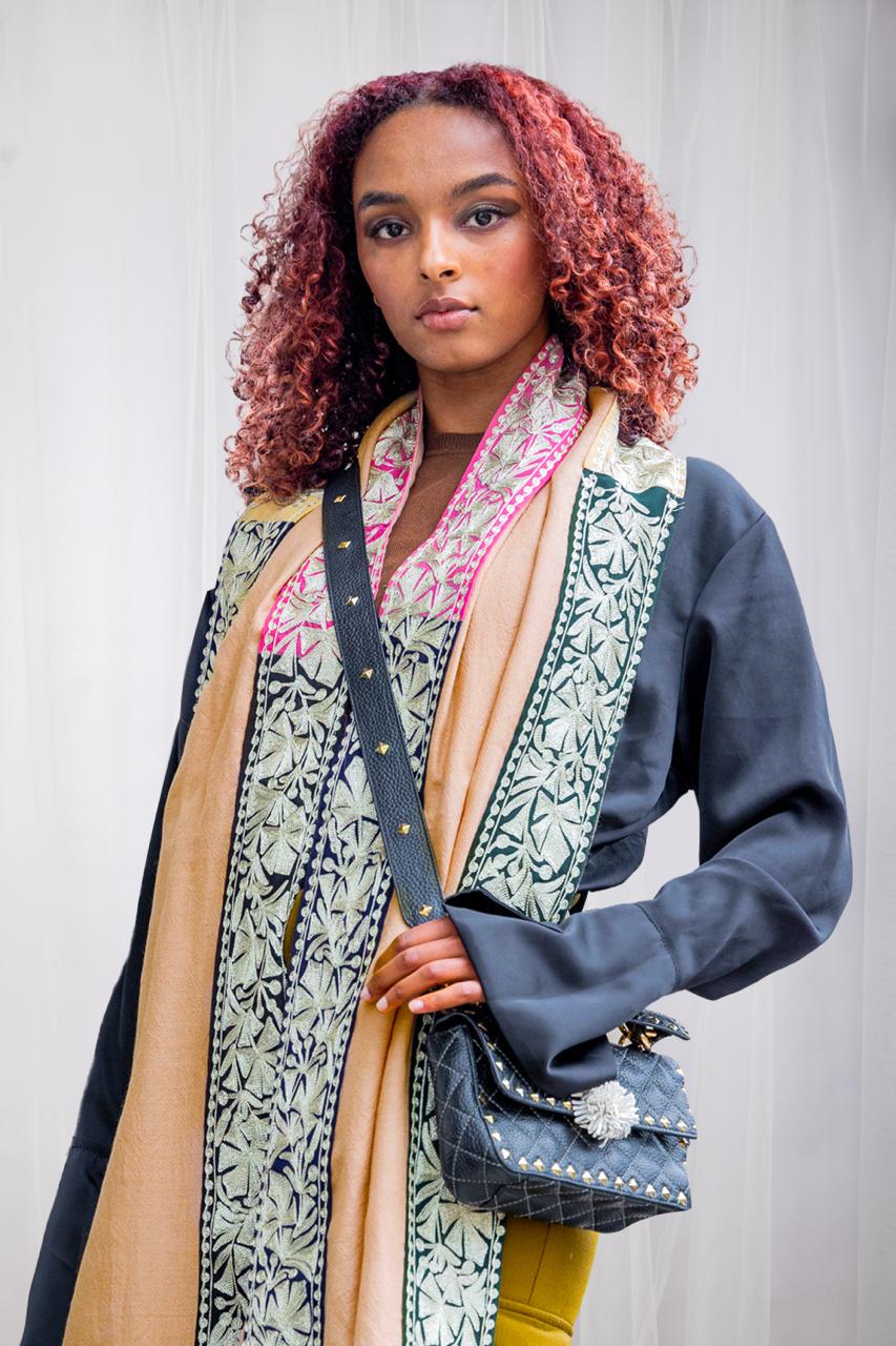 Coloring Boundaries in Pashmina-Embroidered Stole with Earthy Tones and Ornate Borders in Beige (Love Jammu & kashmir)