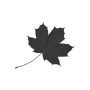 files/1_1.png