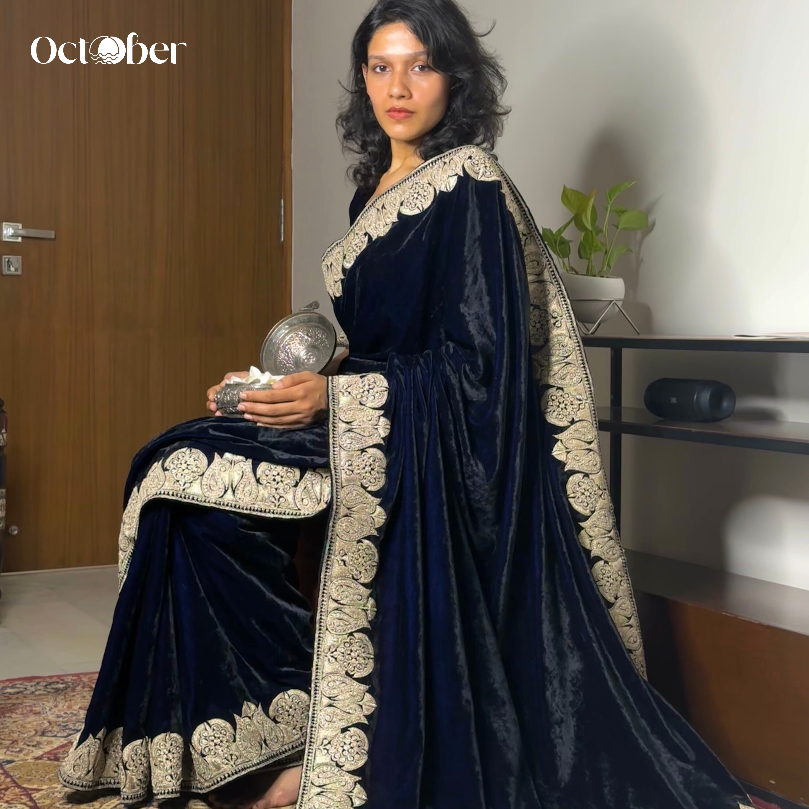 Classic Velvet Tilla Embroidery Saree (October Weddings)