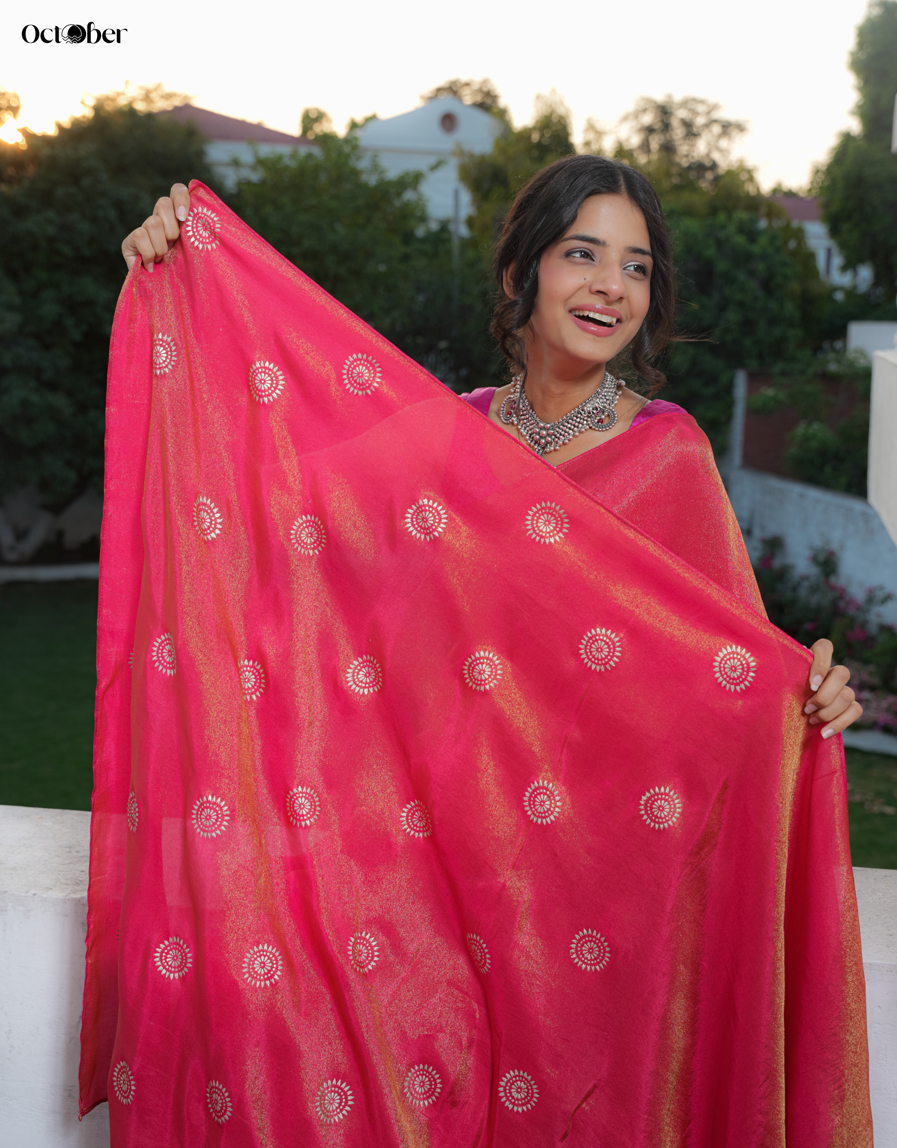 Scarlet Real Silver Saree in Tissue Silk